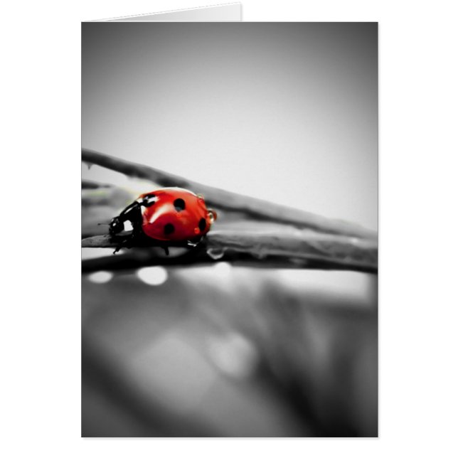 私の方法カード (正面)