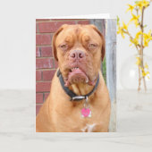 私の日を作って下さい カード (黄色い花)