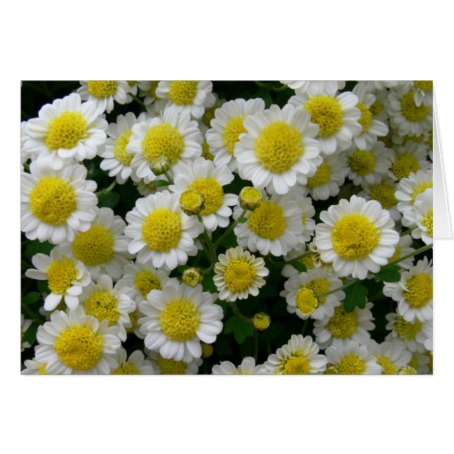 私の日光です (正面横)