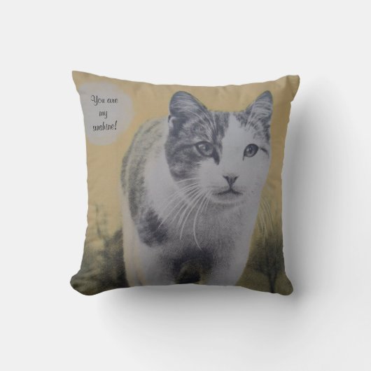 私の日光です! クッション (正面)