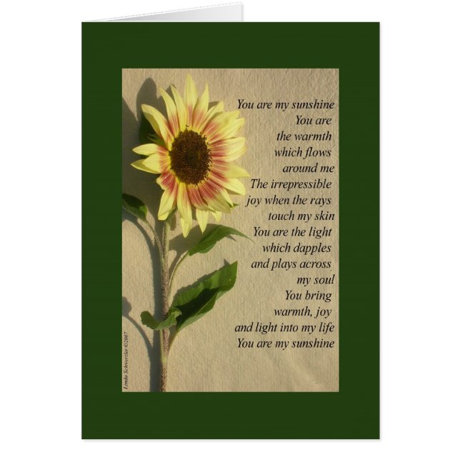 私の日光の詩です (正面)