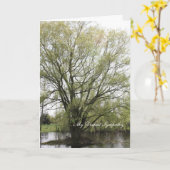 私の最も深い悔やみや弔慰 カード (黄色い花)