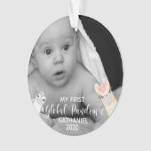 私の最初の世界的大流行ベイビー 2020 フォト アニマルズ オーナメント (正面)