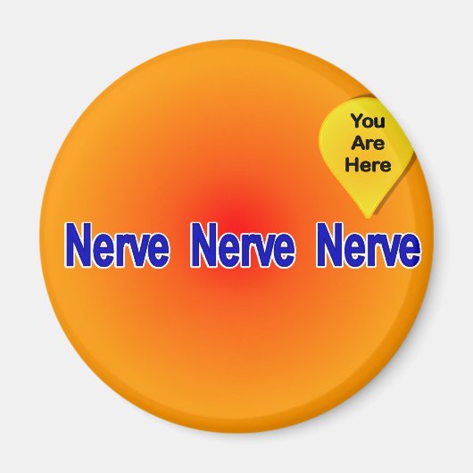 私の最後の神経に マグネット (正面)