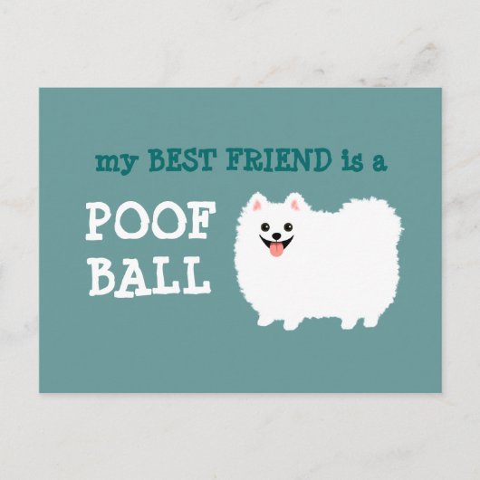 私の最高の友人はPoof Ballである – ホワイトポメラニア犬 ポストカード (正面)