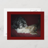 私の最高の友達 ポストカード (正面/裏面)