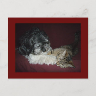 私の最高の友達 ポストカード