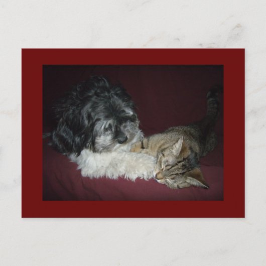 私の最高の友達 ポストカード (正面)