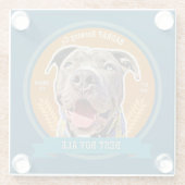 私の最高の男の子ビールラベルコースター ガラスコースター (裏面)