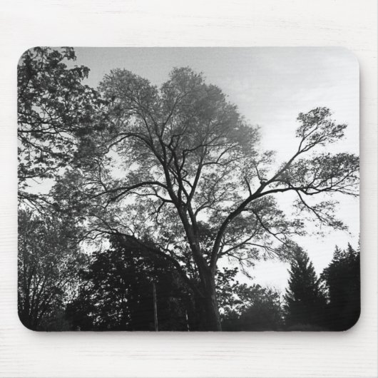 私の木のマウスパッドを見て下さい マウスパッド (正面)