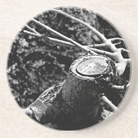 私の木を回のまわりにす コースター (正面)