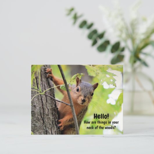 私の森の首から君のはがきに シーズンポストカード (スタンド正面)