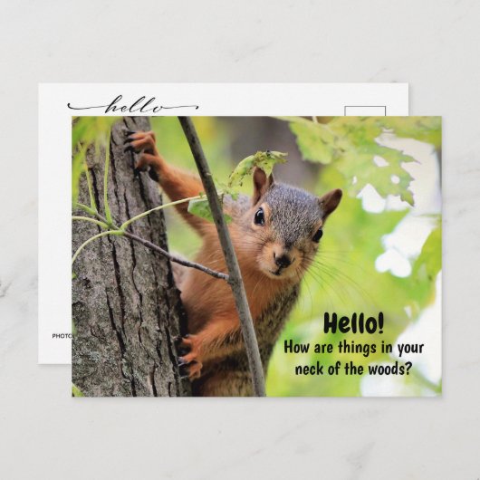 私の森の首から君のはがきに シーズンポストカード (正面/裏面)