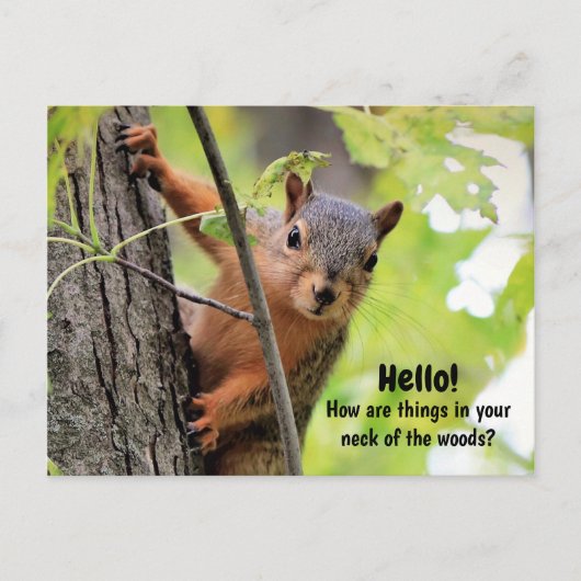 私の森の首から君のはがきに シーズンポストカード (正面)