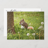 私の森の首から君のはがきに ポストカード (正面/裏面)