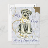 私の標準シュナウザー私食べのレッスンプラン ポストカード (正面/裏面)