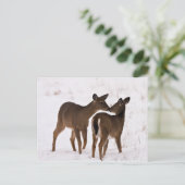 私の母は私を愛している ポストカード (スタンド正面)