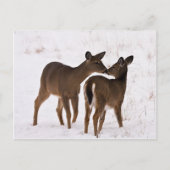 私の母は私を愛している ポストカード (正面)