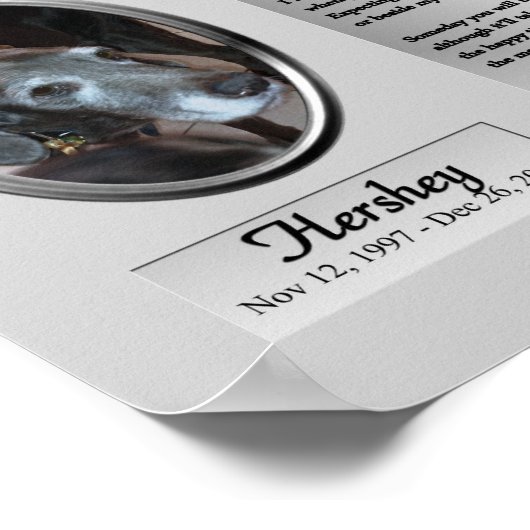 私の永遠の友人を追悼する犬 ポスター (角)