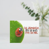 「私の決意」モチベーション肯定 ポストカード (スタンド正面)