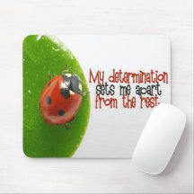 「私の決意」モチベーション肯定