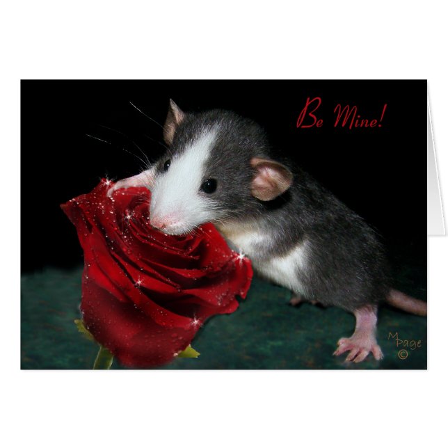 私の物があって下さい! (正面横)