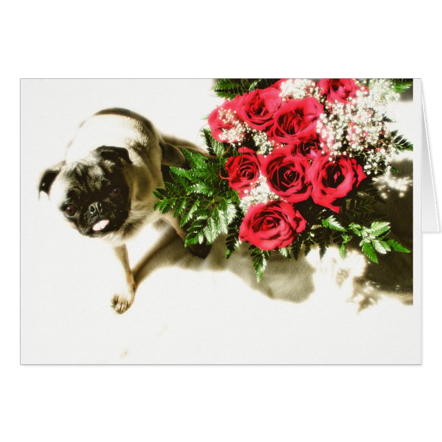 私の物があって下さい (正面横)