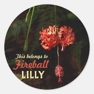 私の物とランタン日本の ラウンドシール