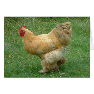 私の物をもったいぶって歩いて下さい