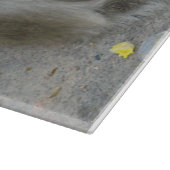 私の物!!...ワイルドタイマカケモンキー カッティングボード (角)