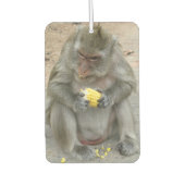 私の物!!...ワイルドタイマカケモンキー カーエアーフレッシュナー (正面)