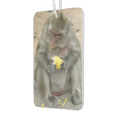 私の物!!...ワイルドタイマカケモンキー カーエアーフレッシュナー (左)