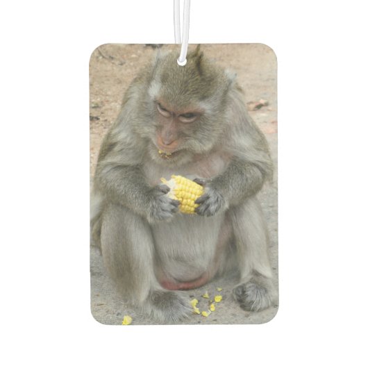 私の物!!...ワイルドタイマカケモンキー カーエアーフレッシュナー (裏面)