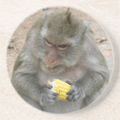 私の物!!...ワイルドタイマカケモンキー コースター (正面)