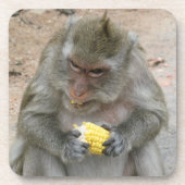 私の物!!...ワイルドタイマカケモンキー コースター (正面)