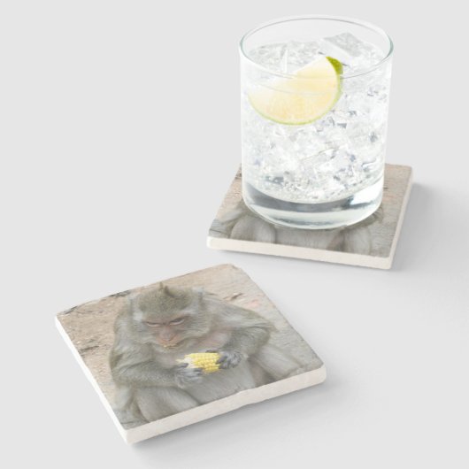 私の物!!...ワイルドタイマカケモンキー ストーンコースター (横)