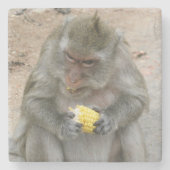 私の物!!...ワイルドタイマカケモンキー ストーンコースター (正面)