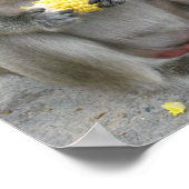 私の物!!...ワイルドタイマカケモンキー ポスター (角)