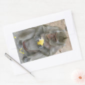 私の物!!...ワイルドタイマカケモンキー 長方形シール (封筒)