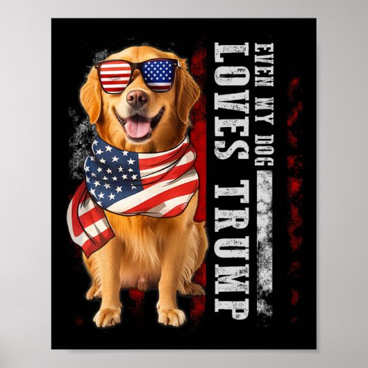 私の犬でさえゴールデンレトリバーはトランプが大好おもしろいき ポスター (正面)