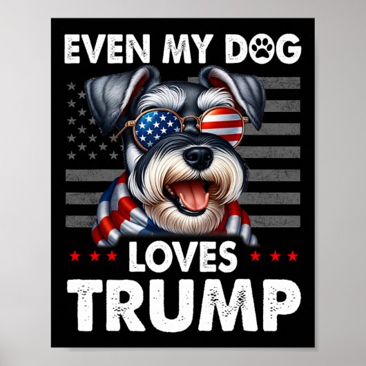 私の犬でさえシュナウザーはトランプが大好おもしろいき ポスター (正面)