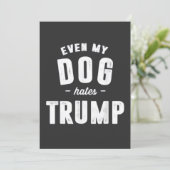 私の犬でさえトランプアンチが嫌い 招待状 (スタンド正面)