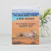 私の犬と引越しのお知らせ 案内状 (スタンド正面)