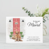 私の犬と私はゴールデンレトリバーを移動した 案内状 (スタンド正面)