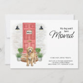 私の犬と私は金のドードルを動かしている 案内状 (正面)