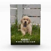 私の犬の写真 フォトブロック (正面)