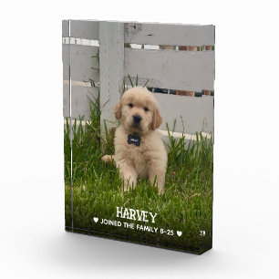 私の犬の写真 フォトブロック