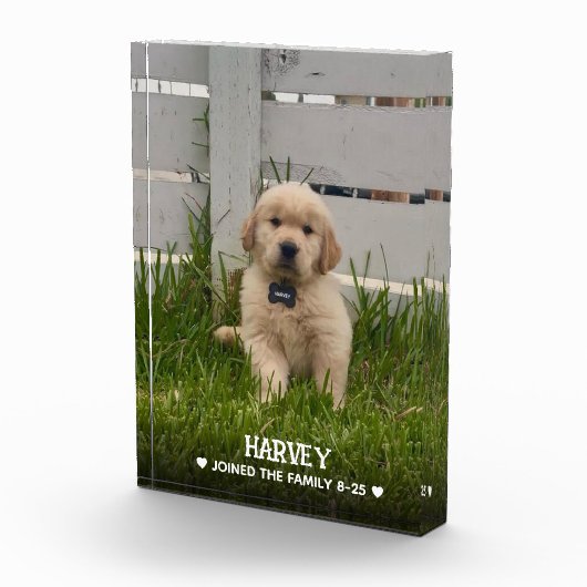 私の犬の写真 フォトブロック (右)