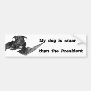 私の犬は大統領より頭が切れるです バンパーステッカー