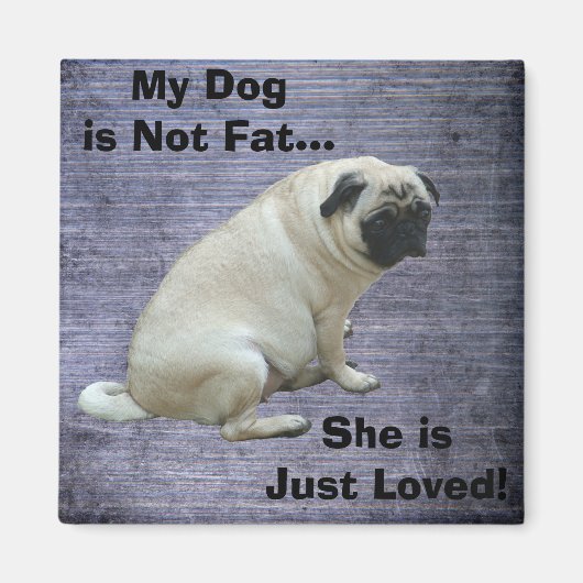 私の犬は太っていない マグネット (正面)